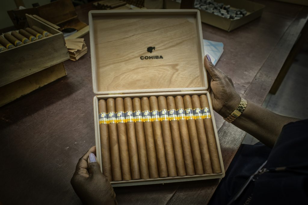 eine Kiste Cohiba Zigarren